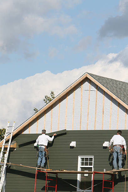 Best Weatherproofing and Sealing  in Knoxvle, IL