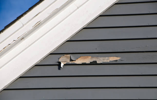 Best Custom Trim and Detailing for Siding  in Knoxvle, IL