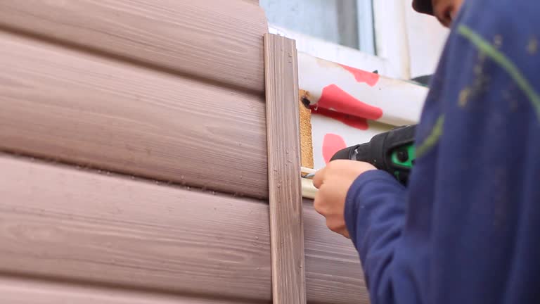 Best Engineered Wood Siding  in Knoxvle, IL